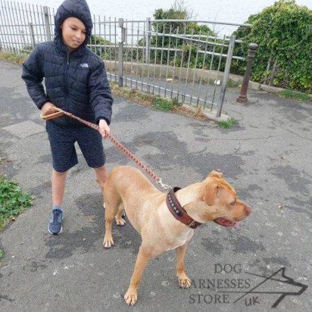 Braided Dog Lead, Designer Dog Leash of Leather for Dog Walking