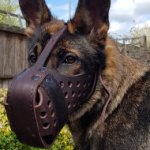 Leather Dog Muzzle for German Shepherd Agitation Training