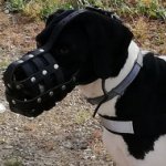 Great Dane Dog Muzzle Leather Mesh with Good Air Circulation