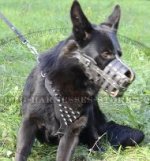 Spiked Dog Harness for German Shepherd, GSD UK