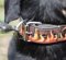 Handmade Dog Collar with "Flame" Ornament for Swiss Mountain Dog