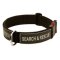 Bestseller! Dog Training Collar of Nylon with Buckle and Patches