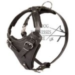 Dog Harness for IGP Training and Protection
