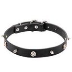 Leather Skull Dog Collar with Spikes in Gothic Style for Walks