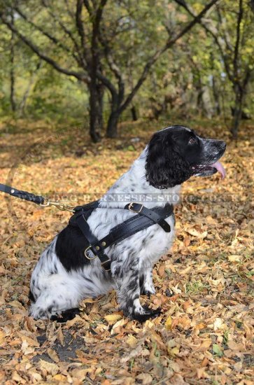 Spaniel Harness Leather Light-Weighted for Tracking and Training