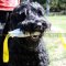 Fire Hose Bite Tug for Black Russian Terrier Training
