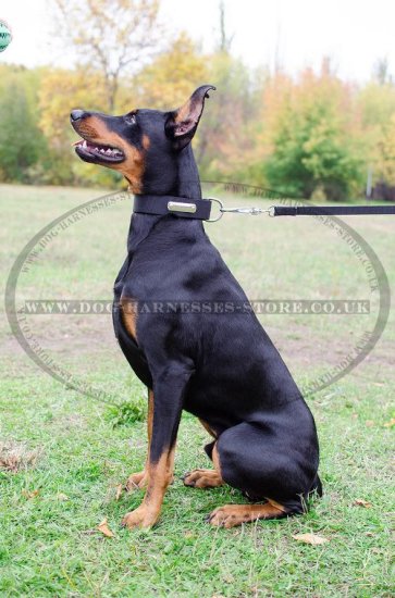 Personalized Dog Collar of Nylon with Blank ID Tag for Doberman