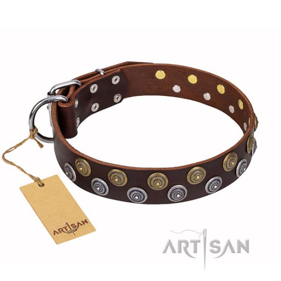 Brown Leather Dog Collar FDT Artisan "Strong Shields" with Studs