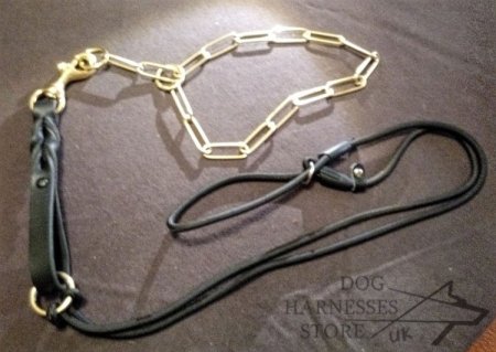 Long Link Fur Saver Dog Choke Collar of Shiny Brass Chain