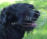 Terrier Dog Muzzle