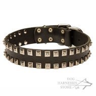 Leather Dog Collar with Square Nickel Studs, Caterpillar Design