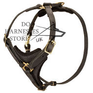 Dog walking harness and anti pull harnesses for easy walk in