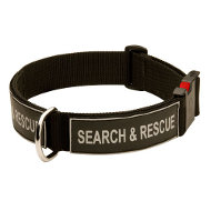 Dog Collar with Patches