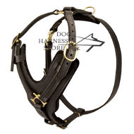 Padded Dog Harness UK, Exclusive Handcrafted ▉