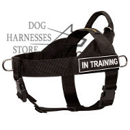 K9 Dog
Harness