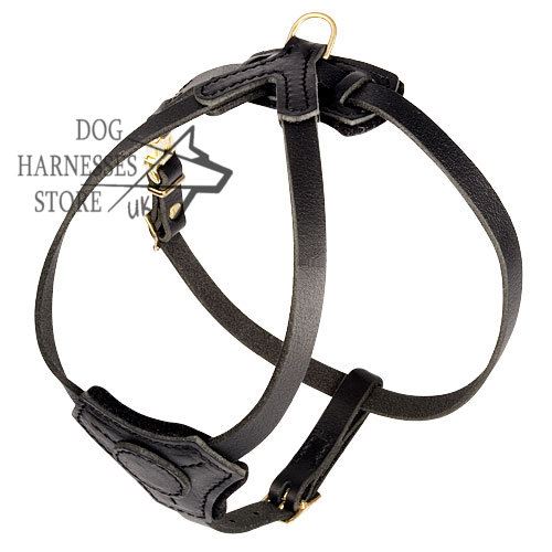 pug harness uk small harness for pug padded harness for pug walking 163 45 00 pug harness uk small harness for pug padded harness for pug walking 163 45 00