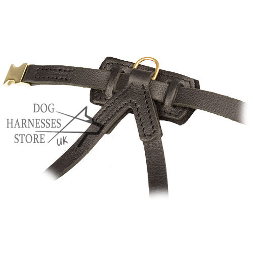 Small Dog Harness for Puppy Padded Dog Harness UK