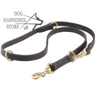 Functional Leather Dog Lead, 3/4 Inch UK