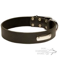 Leather dog collar with ID name tag, UK