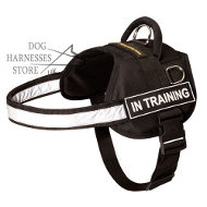 Nylon
dog harness | reflective multi-purpose dog harness UK
