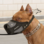 New Dog Muzzle of Leather and Nylon UK 2013 New Dog Muzzle of Leather and Nylon UK 2013