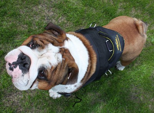 Super Strong Dog Harness for Bulldog Training