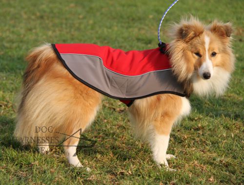 Dog Coat UK