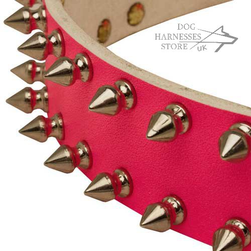 Spiked Leather Dog Collar for Female Dog | Pink Dog Collars Spiked Leather Dog Collar for Female Dog | Pink Dog Collars