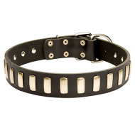 Stylish Dog Collar Leather with Row of Elegant Brass Plates