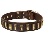 Trendy Dog Collar of Quality Leather with Brass Plates