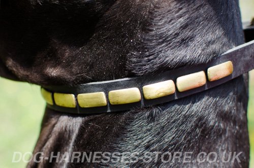 Narrow Leather Dog Collar UK