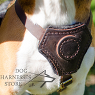 Leather Beagle Dog Harness for Comfort Walking
