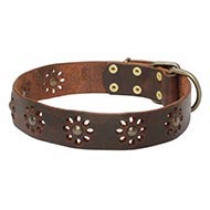 Natural Leather Dog Collar UK
