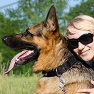 Buy New Dog Collars for Strong German Shepherd Dog Style