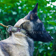 Bestseller! Belgian Malinois Decorative Leather Dog Collar