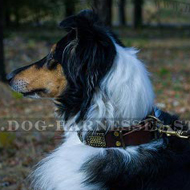 Decorative Leather Dog Collar Relief Plates & Cones for Collie