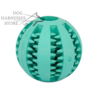 Dental Dog Ball