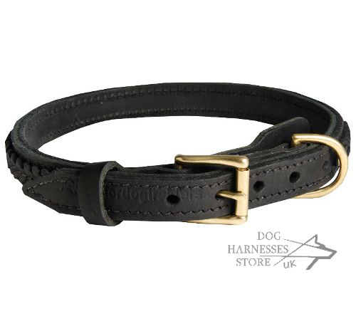 Braided Dog Collars UK