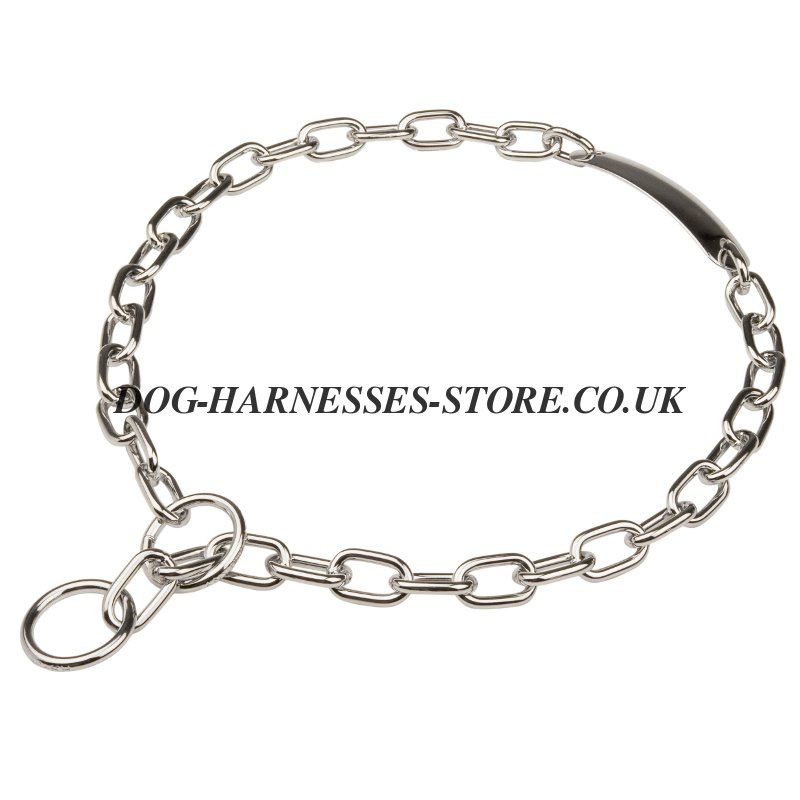 Dog Collar with ID Tag of Chrome-Plated Steel Chain. Personalized Dog ...