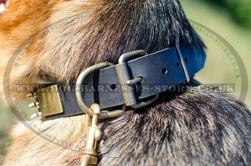 Leather Dog collar