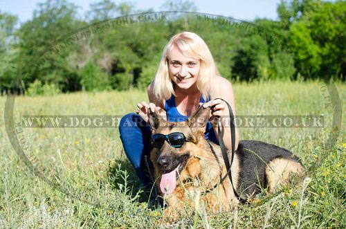 German Shepherd Therapeutic Dog