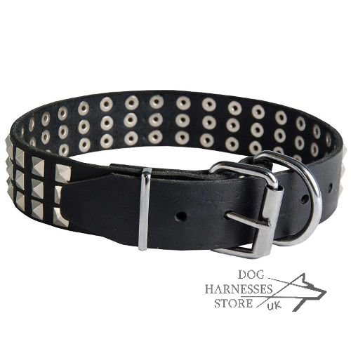 Wide Leather Dog Collar UK