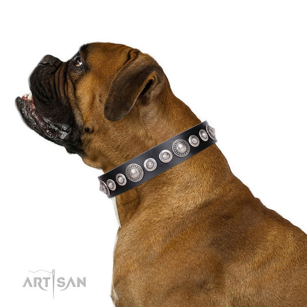 Boxer Dog Collars UK