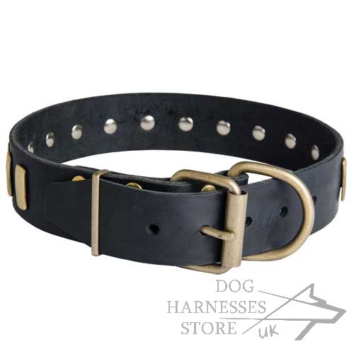 Leather Dog Collars UK
