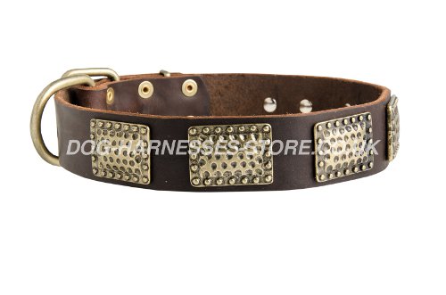 Decorated Leather Dog Collars