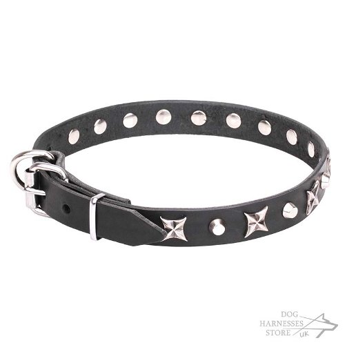 Dog Collar with Stars