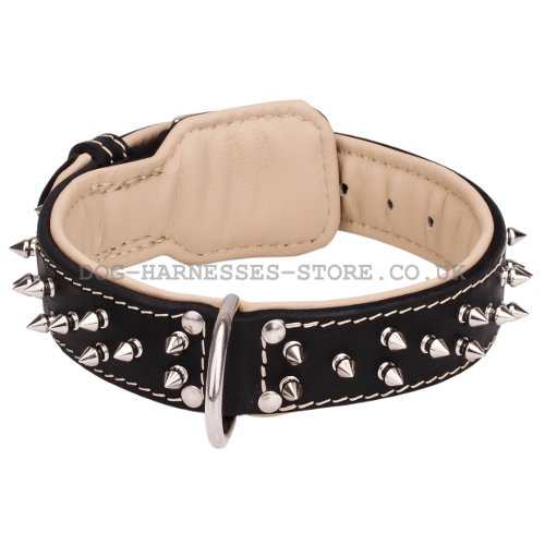 Double-Ply Leather Dog Collar