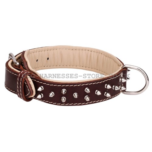 Double Ply Leather Dog Collars