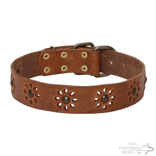 Floral Leather Dog Collar