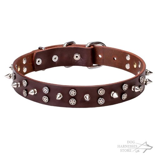 Leather Dog Collar, Spiked and Star Studded